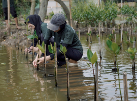 Gabung Aksi penanaman bibit bakau (dok. Arsip LETTI)