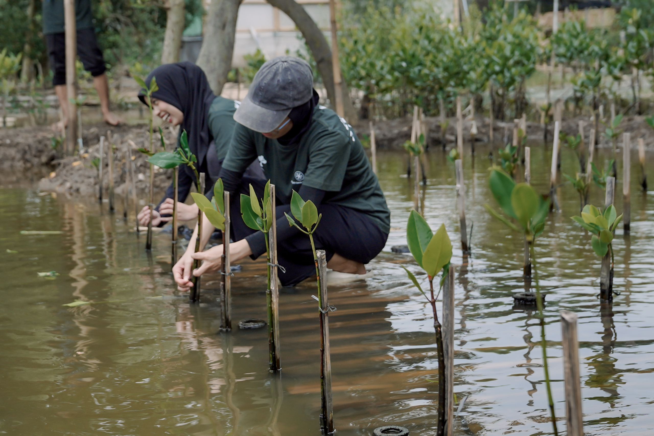Gabung Aksi penanaman bibit bakau (dok. Arsip LETTI)