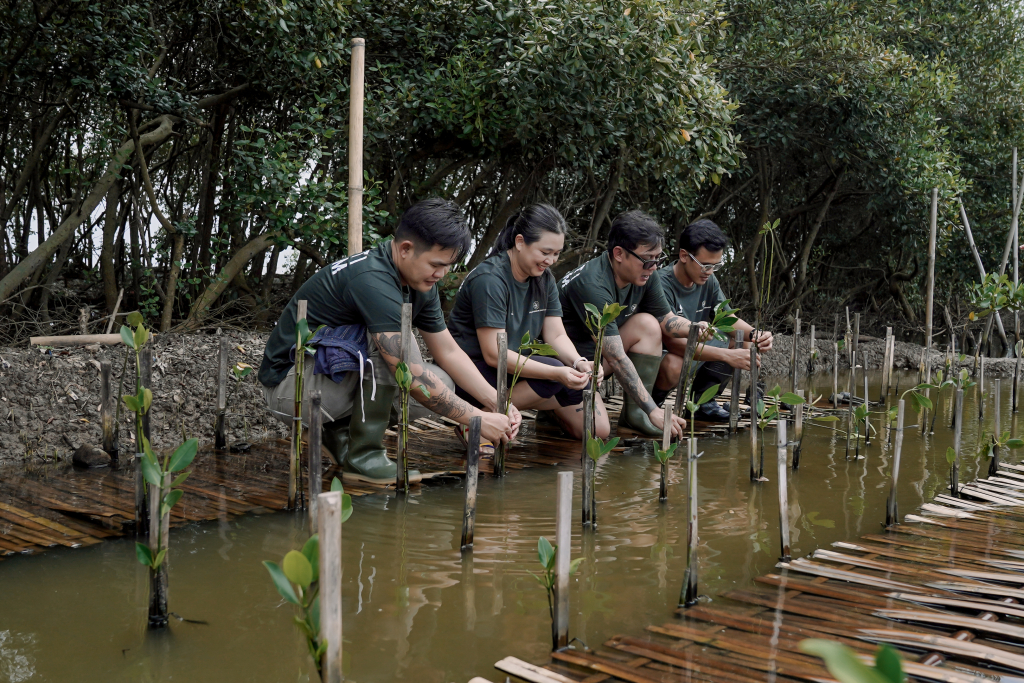 Foto representatif Indo Gaya Nusantara melakukan gabung aksi tanam bakau Rindu Rindang